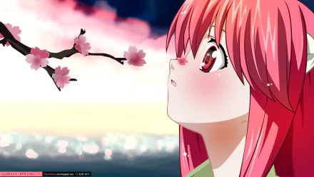 A vibrant HD wallpaper featuring Lucy from *Elfen Lied*, gazing upwards at cherry blossoms against a serene sunset backdrop. A stunning anime scene capturing beauty and emotion.