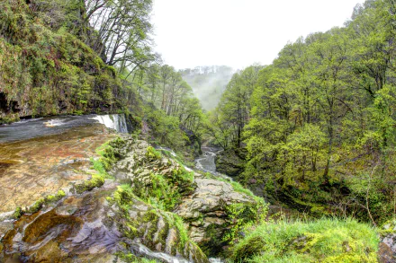 nature United Kingdom morning fog tree forest Wales waterfall HD Desktop Wallpaper | Background Image