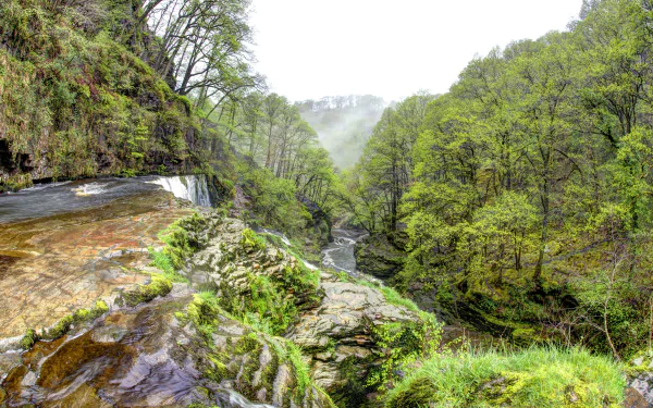 2K Quad HD PC wallpaper: misty morning in a Welsh forest, trees cloaked in fog above a cascading waterfall and rocky ravine in the United Kingdom.