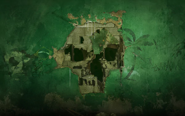 HD PC desktop wallpaper featuring a weathered skull design from Operation Skull Rain in the video game Tom Clancy's Rainbow Six Siege.