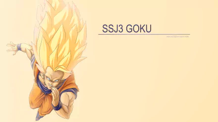 HD PC desktop wallpaper featuring Super Saiyan 3 Goku from Dragon Ball Z with his iconic long golden hair and fierce expression on a light background.
