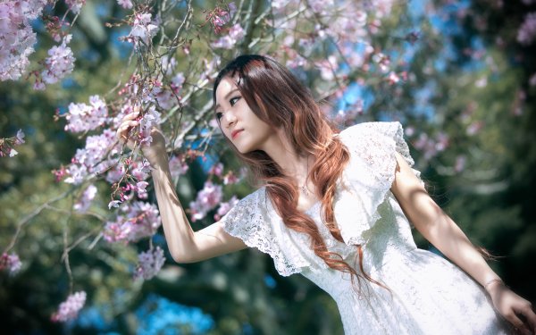 Women Asian Model White Dress Brunette Brown Eyes Blossom HD Wallpaper | Background Image