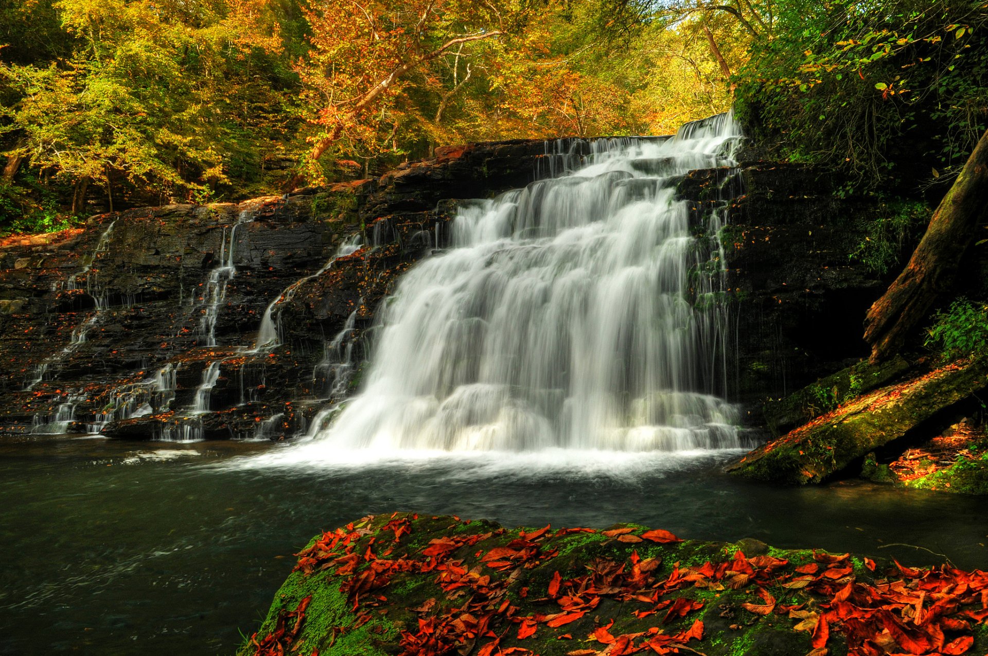 Autumn Forest Waterfall