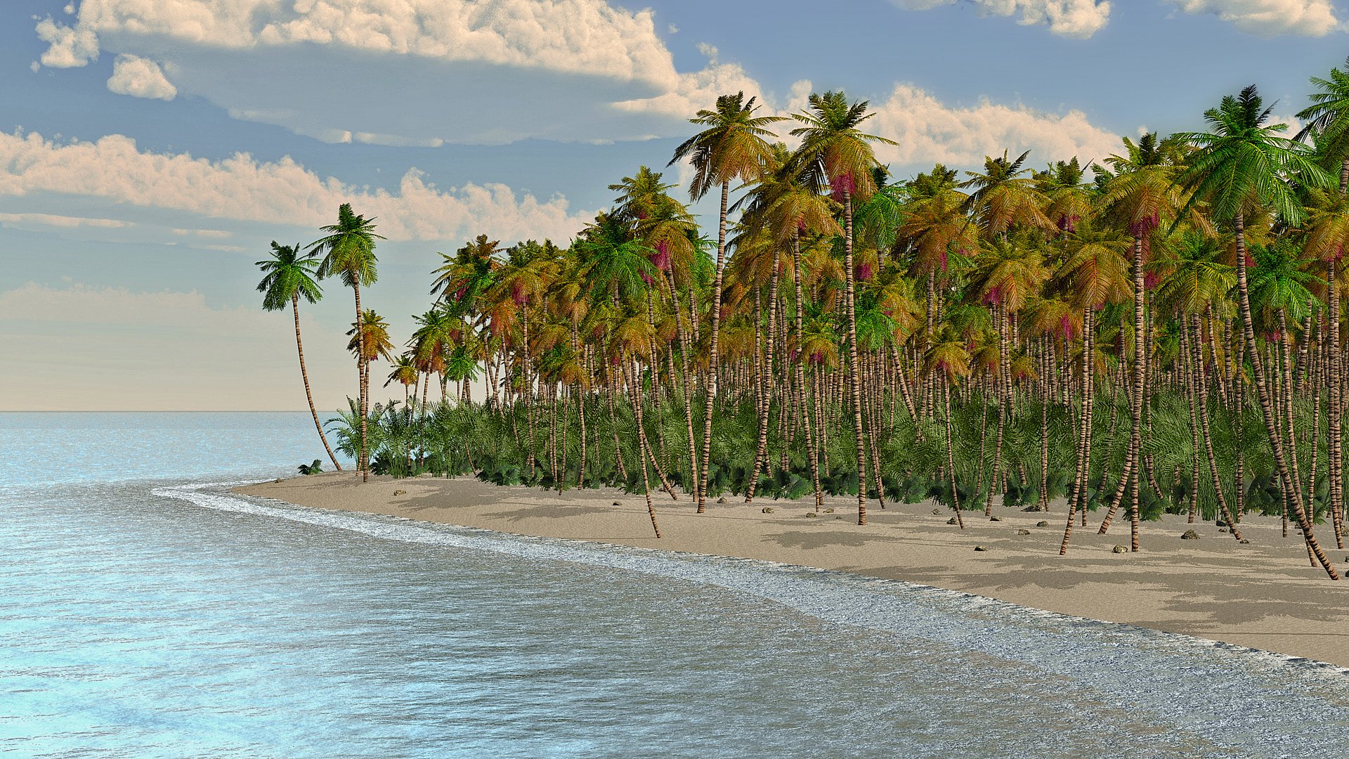 Download Sea Ocean Island Nature Palm Tree Tree HD Wallpaper ...