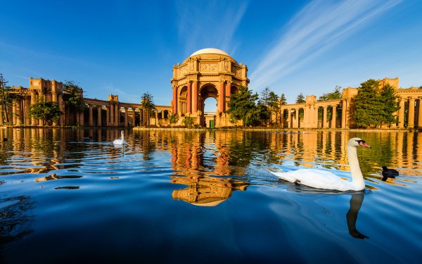 Man Made Palace Of Fine Arts Monuments San Francisco Building Pond Swan Reflection HD Wallpaper | Background Image