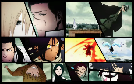 A dynamic collage featuring characters from the anime Bleach, including Lisa Yadomaru, Soifon, Shunsui Kyōraku, and Ichigo Kurosaki, presented as an HD desktop wallpaper.