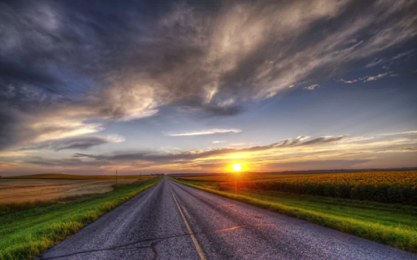 HDR HD PC desktop wallpaper - a straight man-made road through sunflower fields toward a summer sunset on the horizon, sun and dramatic sky over a wide landscape background.