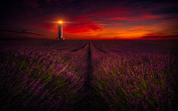 HD Wallpaper | Background ID:729246