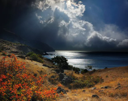 Dramatic coastline of Crimea, Russia, with dark clouds over the sea and horizon, framed by autumn foliage under a moody sky in this HD desktop wallpaper.