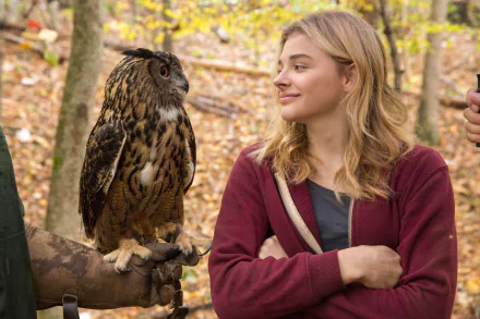 Chloë Grace Moretz from The 5th Wave smiles at a large owl perched on a gloved hand in a forest setting, featured in a 4K Ultra HD PC desktop wallpaper.