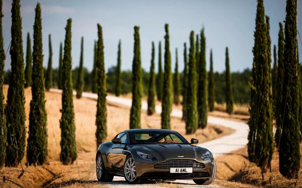 A sleek Aston Martin DB11 grand tourer parked on a winding road lined with tall cypress trees, captured in stunning 4K Ultra HD for a PC desktop background.
