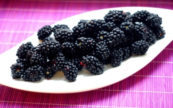 Food Blackberry Berry Fruit HD Wallpaper | Background Image
