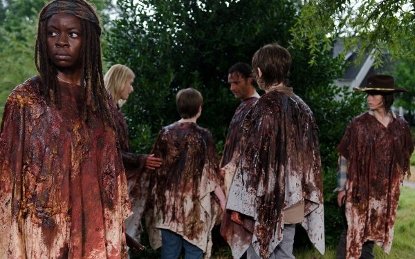 TV Show The Walking Dead Michonne Danai Gurira Rick Grimes Andrew Lincoln Carl Grimes Chandler Riggs HD Wallpaper | Background Image