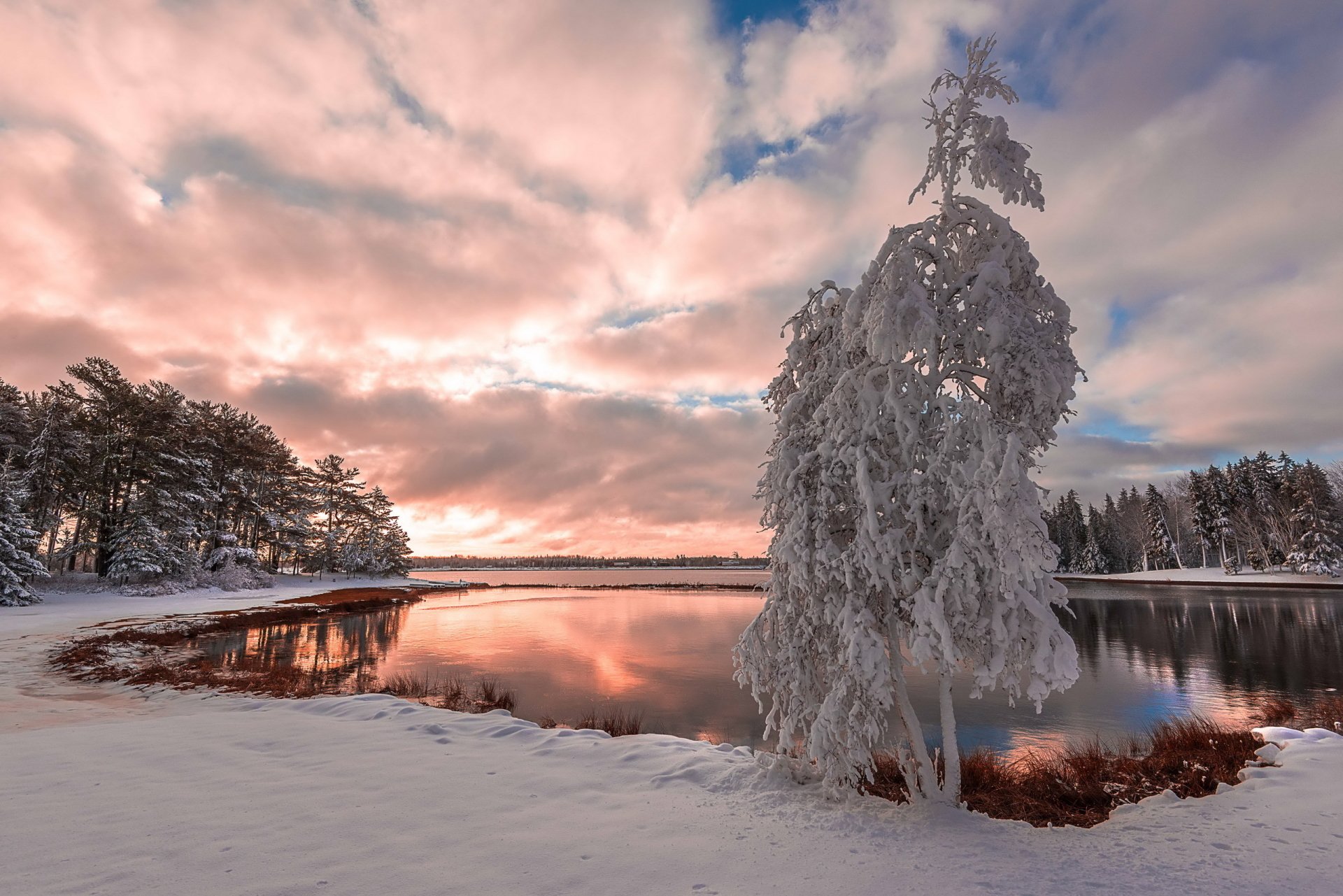 winter dusk sky