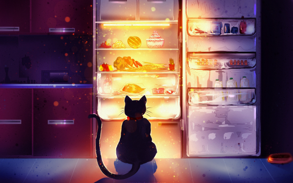 Fantasy Cat Fantasy Animals HD Wallpaper | Background Image