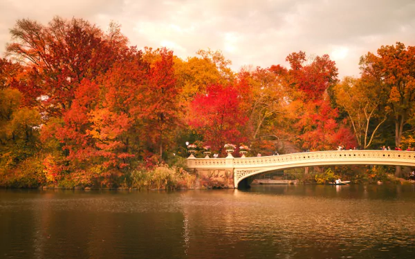  Central Park Bridge in Autumn