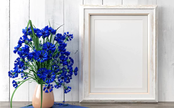5K Ultra HD still life photography: vivid blue cornflower bouquet in a pale vase beside an empty white frame on rustic white boards — PC desktop wallpaper.
