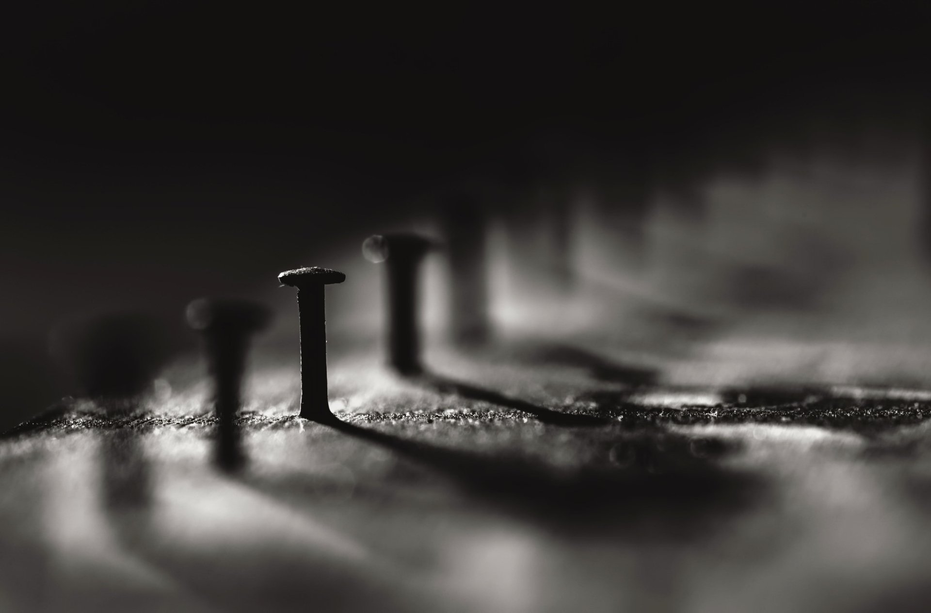 Download Nail Macro Photography Black & White HD Wallpaper