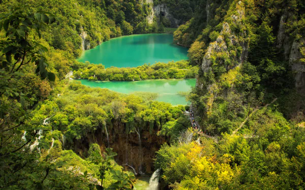 HD PC desktop wallpaper of Plitvice Lakes National Park: emerald tiered lakes and waterfalls nestled among dense forest and trees.