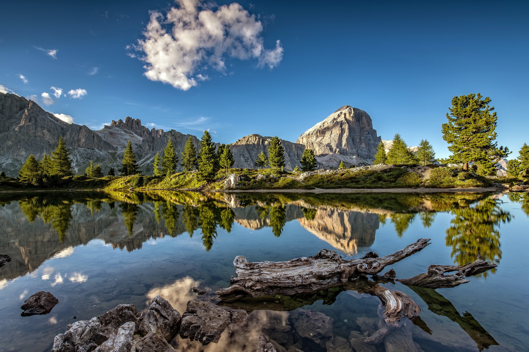 Download Tree Lake Mountain Nature Reflection HD Wallpaper