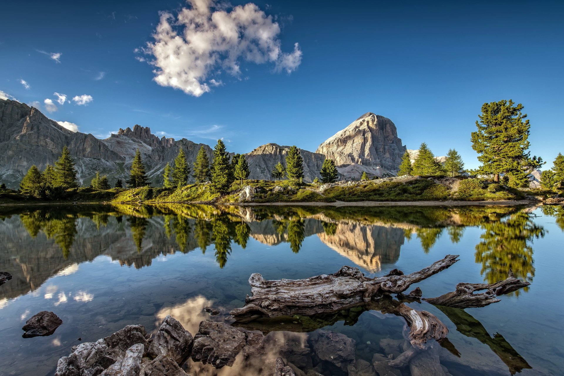 Download Tree Lake Mountain Nature Reflection Hd Wallpaper