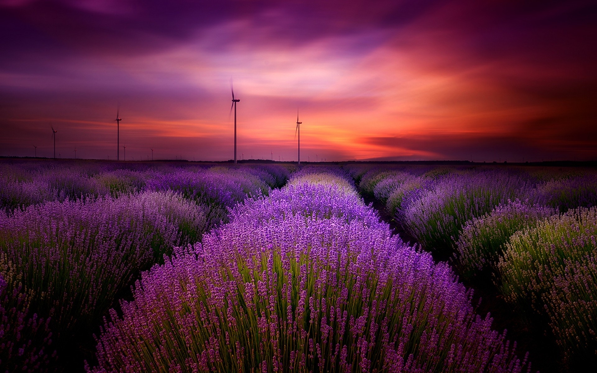 Download Purple Flower Wind Turbine Sky Sunset Field Flower Nature ...