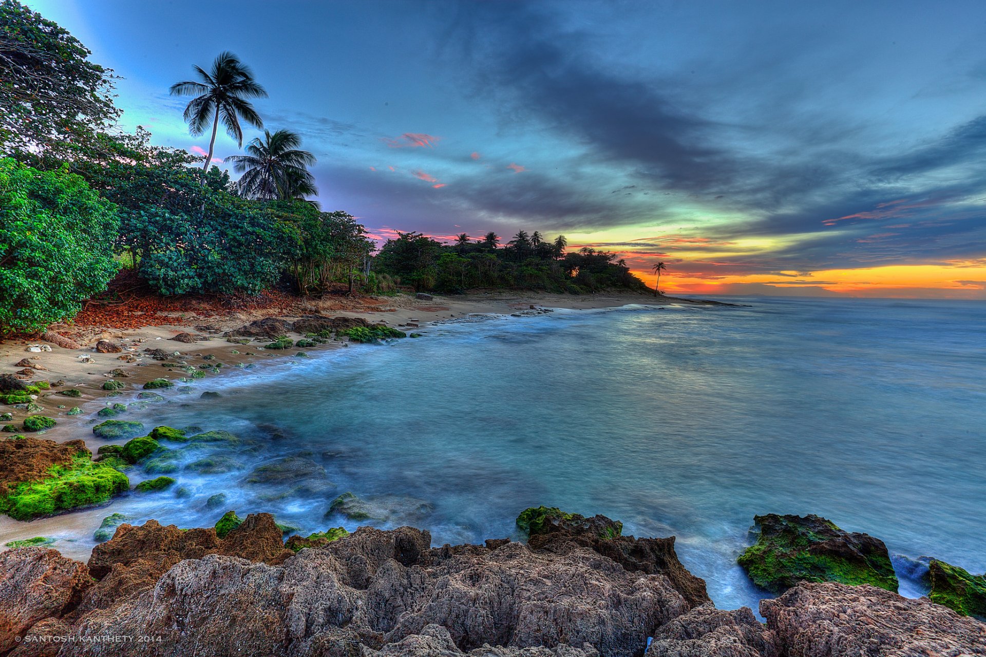 Download Horizon Palm Tree Sea Ocean Tropical Coast Nature Coastline HD ...