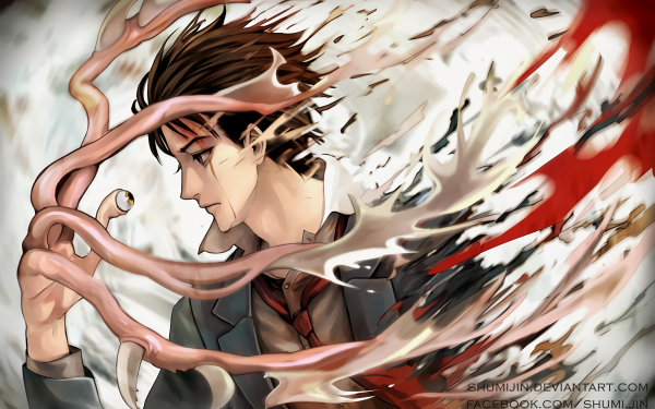 Anime Parasyte -the maxim- Shinichi Izumi Migi HD Wallpaper | Background Image