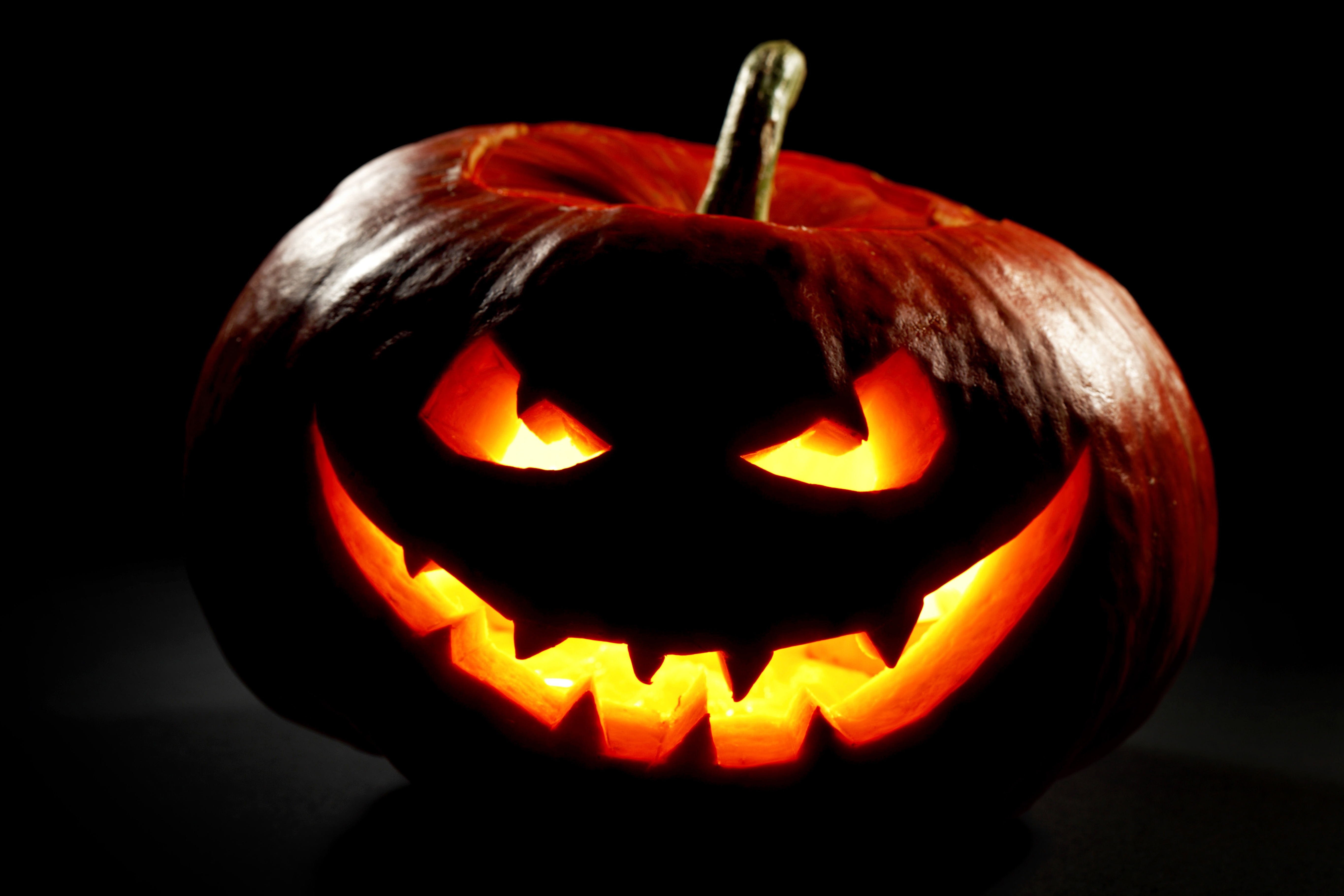 Jack-O-Lantern 5k Retina Ultra HD Wallpaper | Background Image | 5460x3640 | ID:738161