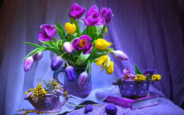 Photography Still Life Purple Tulip Flower Pitcher Book Curtain Yellow Flower Purple Flower HD Wallpaper | Background Image