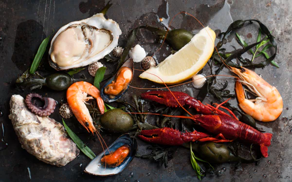 mussel crayfish shrimp food seafood HD Desktop Wallpaper | Background Image