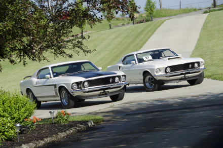 Two white 1969 Ford Mustang Boss 429 muscle cars drive side by side on a winding road surrounded by greenery, captured in a high-definition desktop wallpaper.