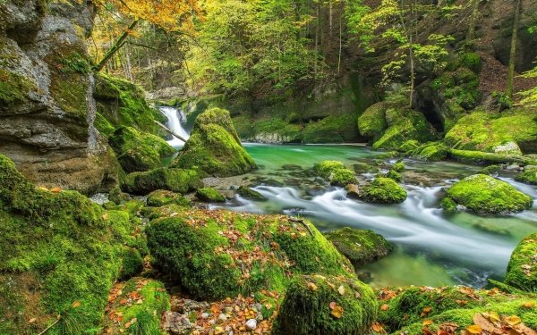 Nature River Moss Waterfall HD Wallpaper | Background Image