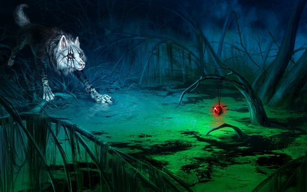 Fantasy Wolf Fantasy Animals Swamp HD Wallpaper | Background Image