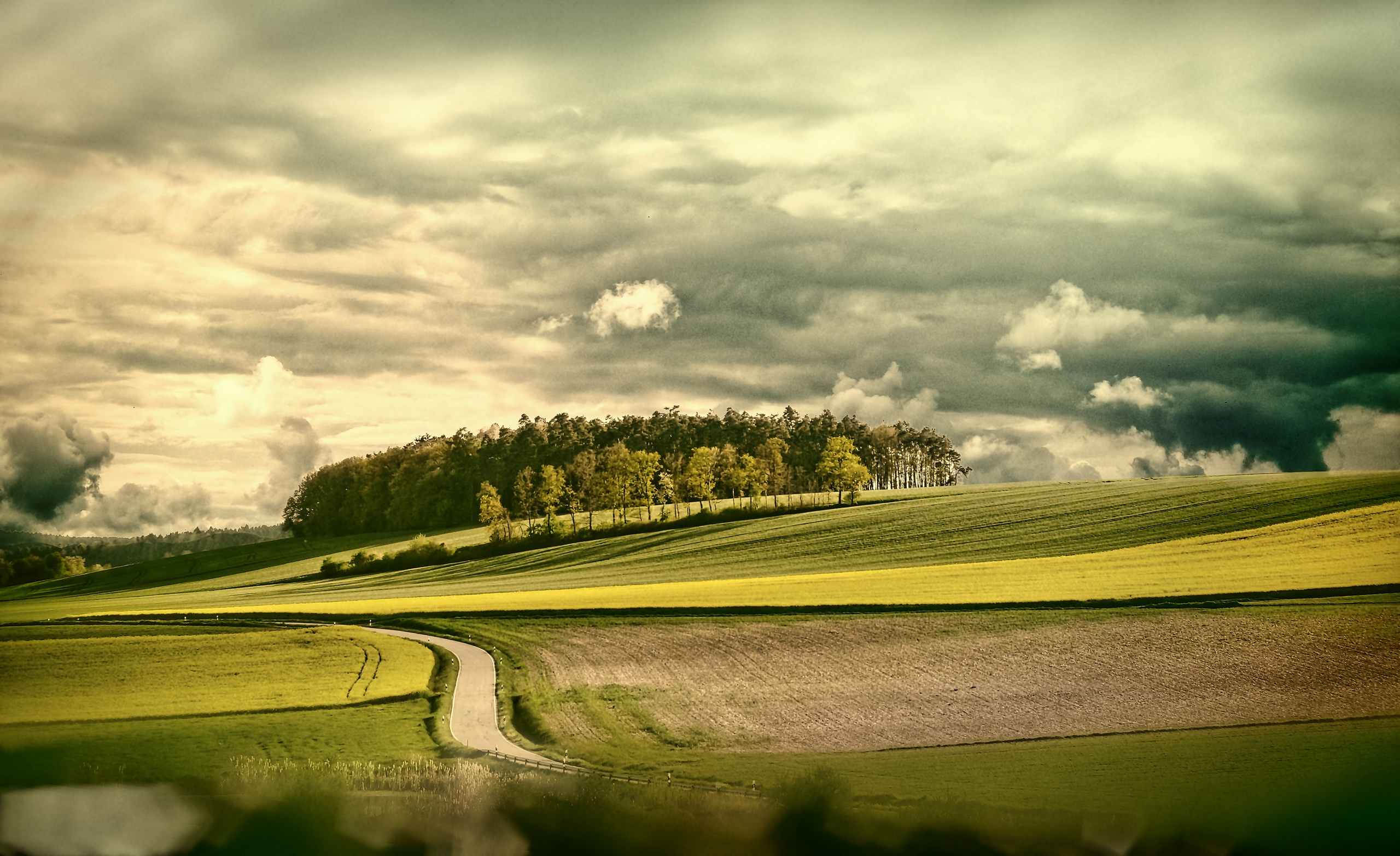 Campo Fondo De Pantalla HD | Fondo De Escritorio | 2560x1565 | ID ...