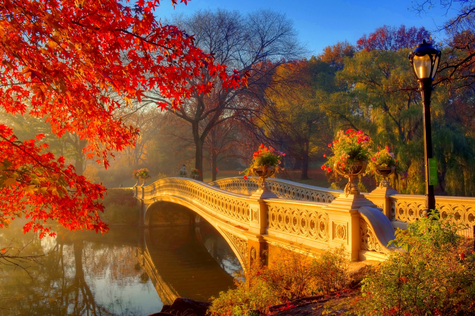 Photography Park HD Wallpaper