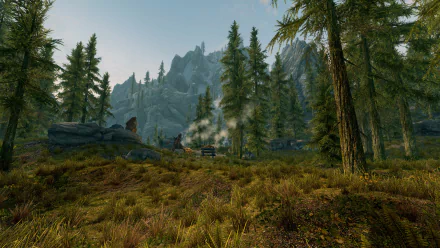 A serene forest landscape featuring towering trees and a distant campfire, capturing the immersive beauty of The Elder Scrolls V: Skyrim in stunning 4K Ultra HD.