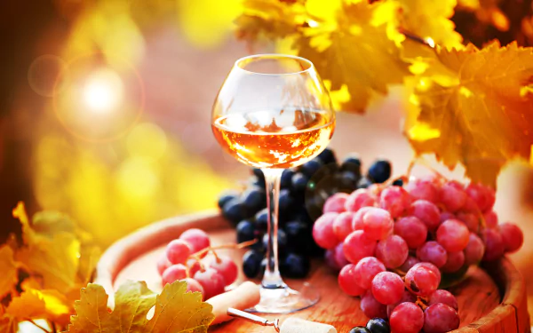 2K Quad HD PC desktop wallpaper: glass of amber wine with red and black grapes on a wooden board amid golden autumn leaves and warm bokeh.