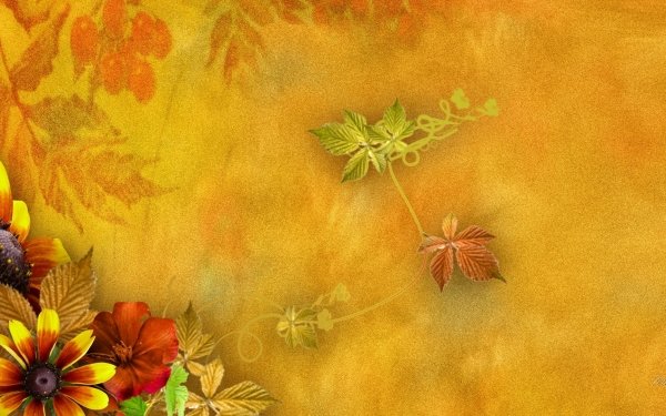 Artistic Fall HD Wallpaper | Background Image | 1920x1200