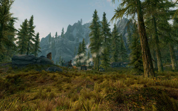 A serene forest landscape featuring towering trees and a distant campfire, capturing the immersive beauty of The Elder Scrolls V: Skyrim in stunning 4K Ultra HD.