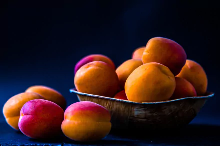 fruit food apricot HD Desktop Wallpaper | Background Image