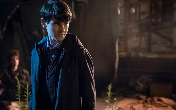 Bruce Wayne David Mazouz Gotham (TV Show) TV Show HD Desktop Wallpaper | Background Image