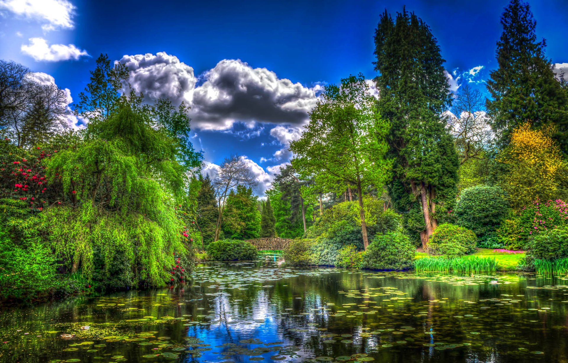 Download Tree Lily Pad Pond Green England Park Photography HDR HD Wallpaper