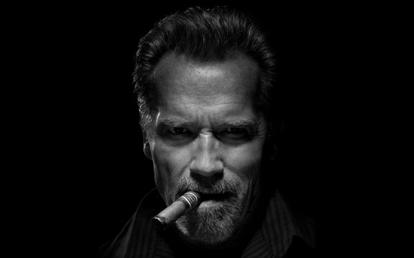 Celebrity Arnold Schwarzenegger Actor American Black & White Face Cigar HD Wallpaper | Background Image