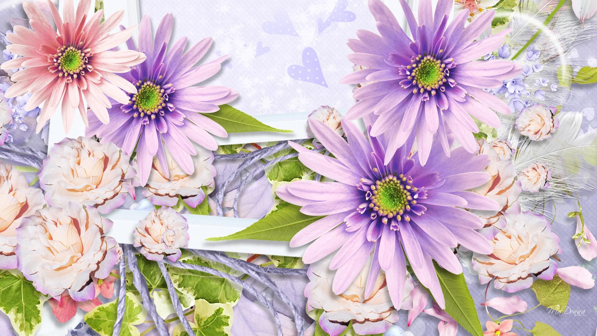 Download Purple Flower Pink Flower Daisy Artistic Flower HD Wallpaper