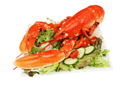 seafood meal food lobster HD Desktop Wallpaper | Background Image