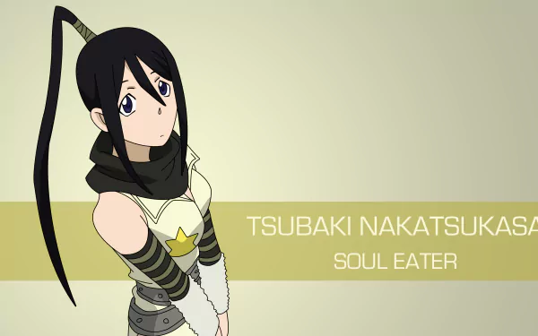 Tsubaki Nakatsukasa Anime Soul Eater HD Desktop Wallpaper | Background Image