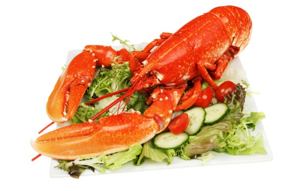 Food Lobster Meal Seafood HD Wallpaper | Background Image