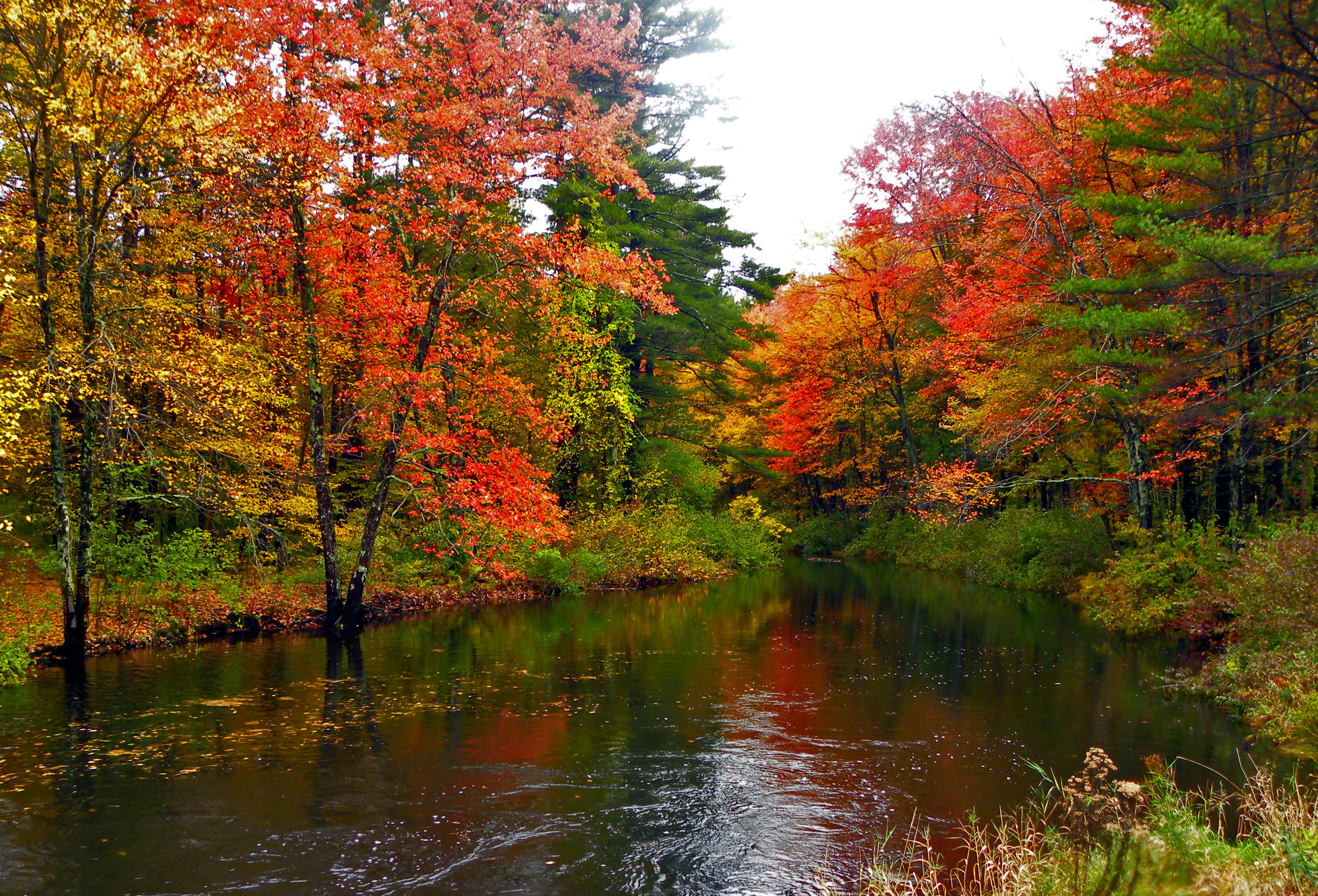 Autumn River Hd Wallpaper Background Image 3528x2399