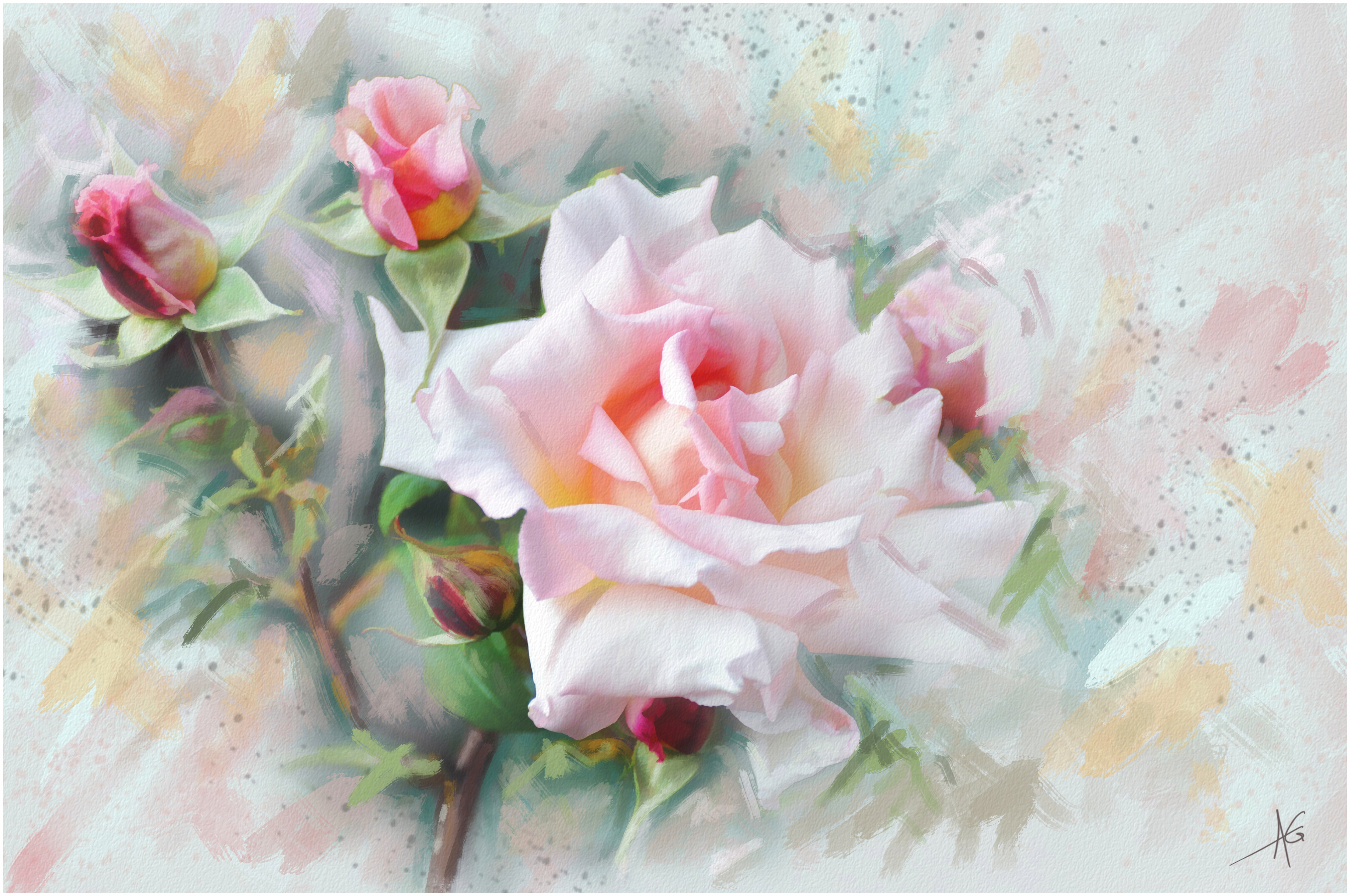 Delicate Rose Painting by Alberto Guillen